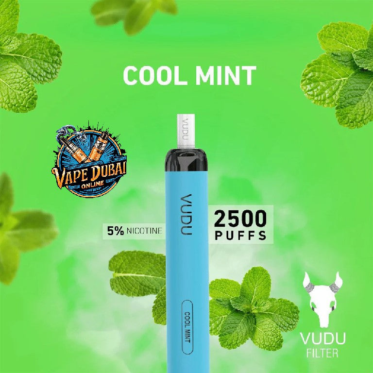 VUDU Filter 2500 Puffs 5% Disposable Vape – Dubai, UAE