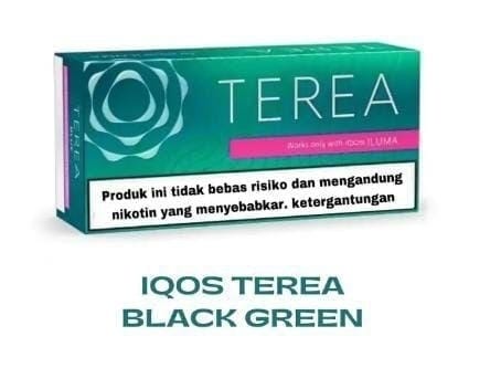 TEREA Indonesian for IQOS ILUMA in Dubai UAE | Best Price Online