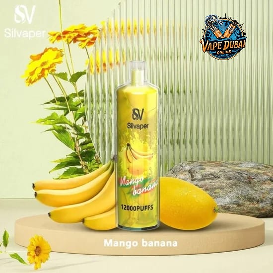 Silvaper Silva Rock 12000 Puffs DTL Disposable Vape Dubai UAE