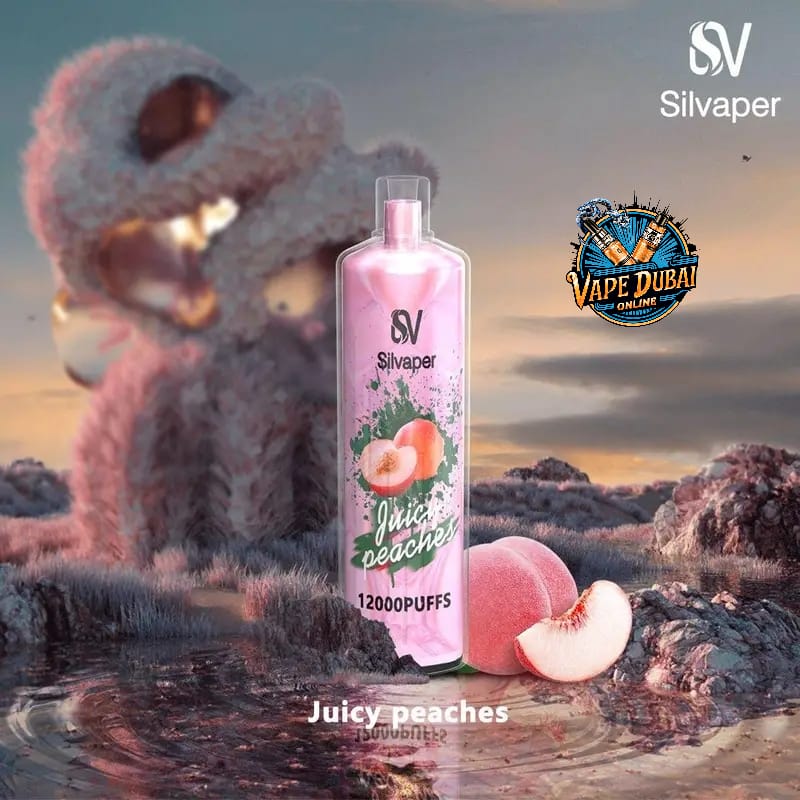 Silvaper Silva Rock 12000 Puffs DTL Disposable Vape Dubai UAE