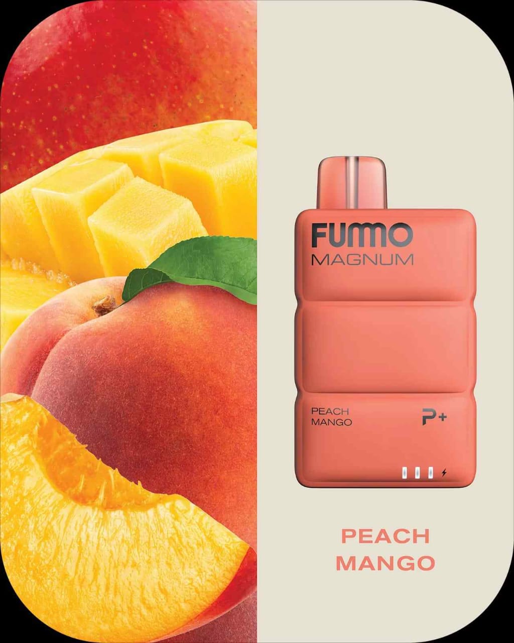 FUMMO Magnum 8000 Puffs Disposable Vape in Dubai UAE – 20 Flavors