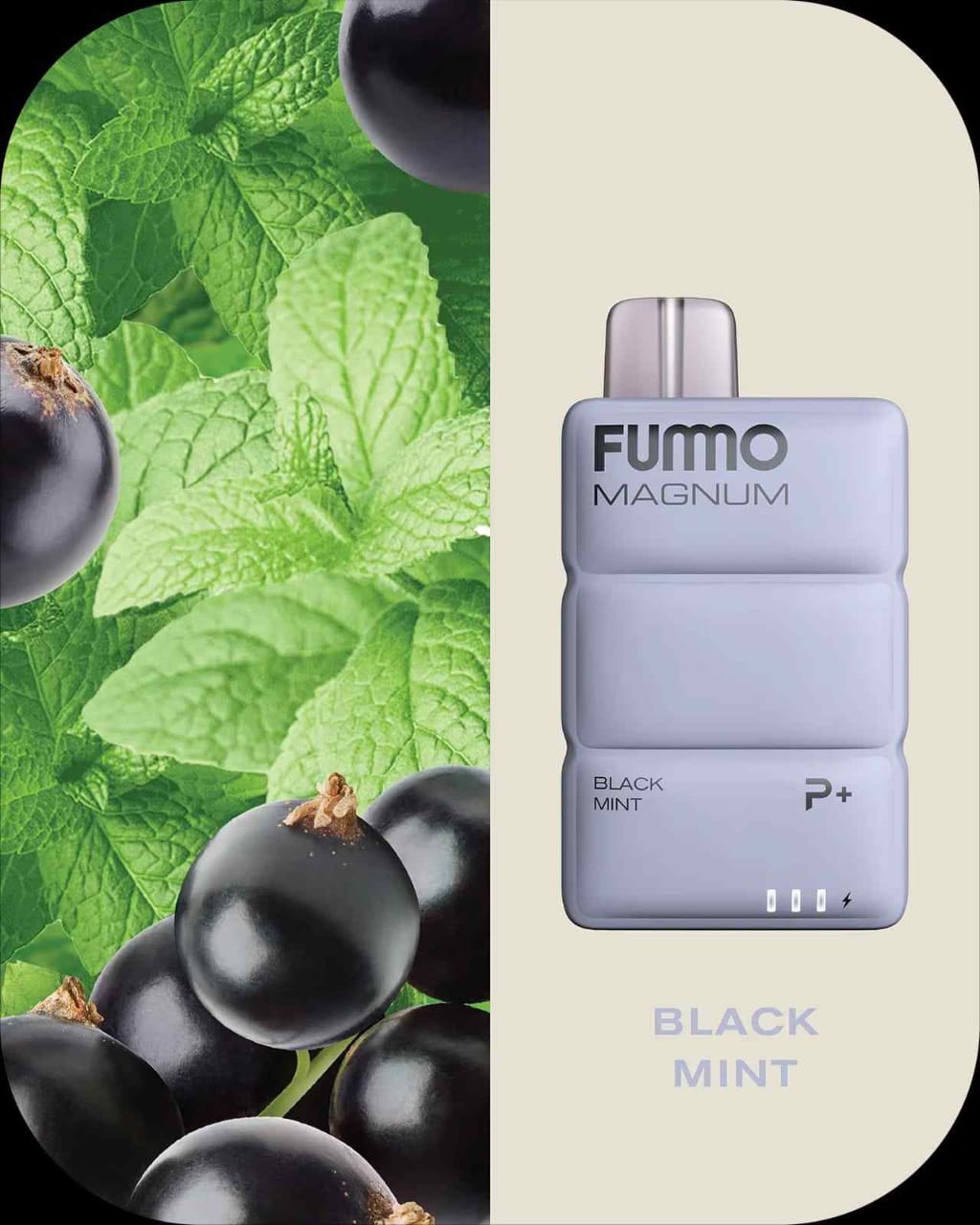 FUMMO Magnum 8000 Puffs Disposable Vape in Dubai UAE – 20 Flavors