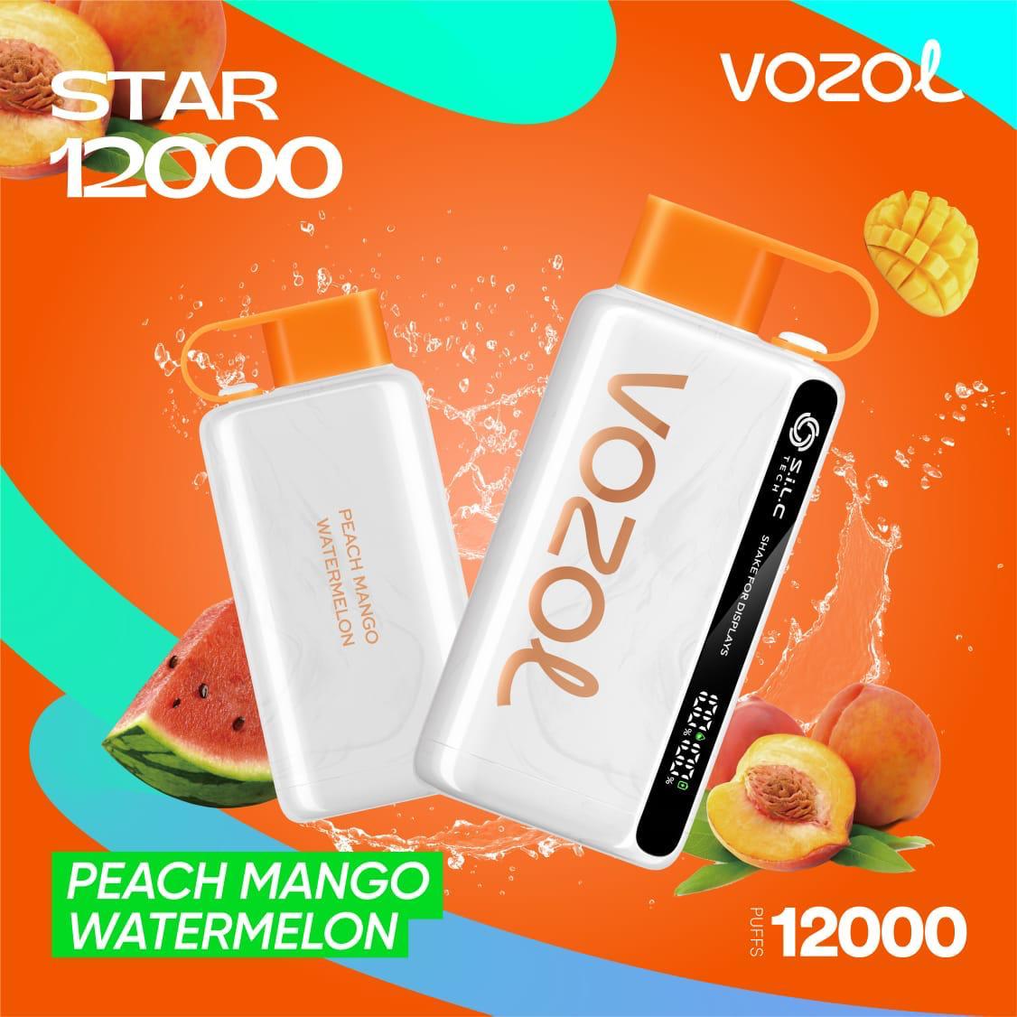 Best Buy Vozol Star 12000 Puffs Disposable Vape – Premium Vape in Dubai, UAE