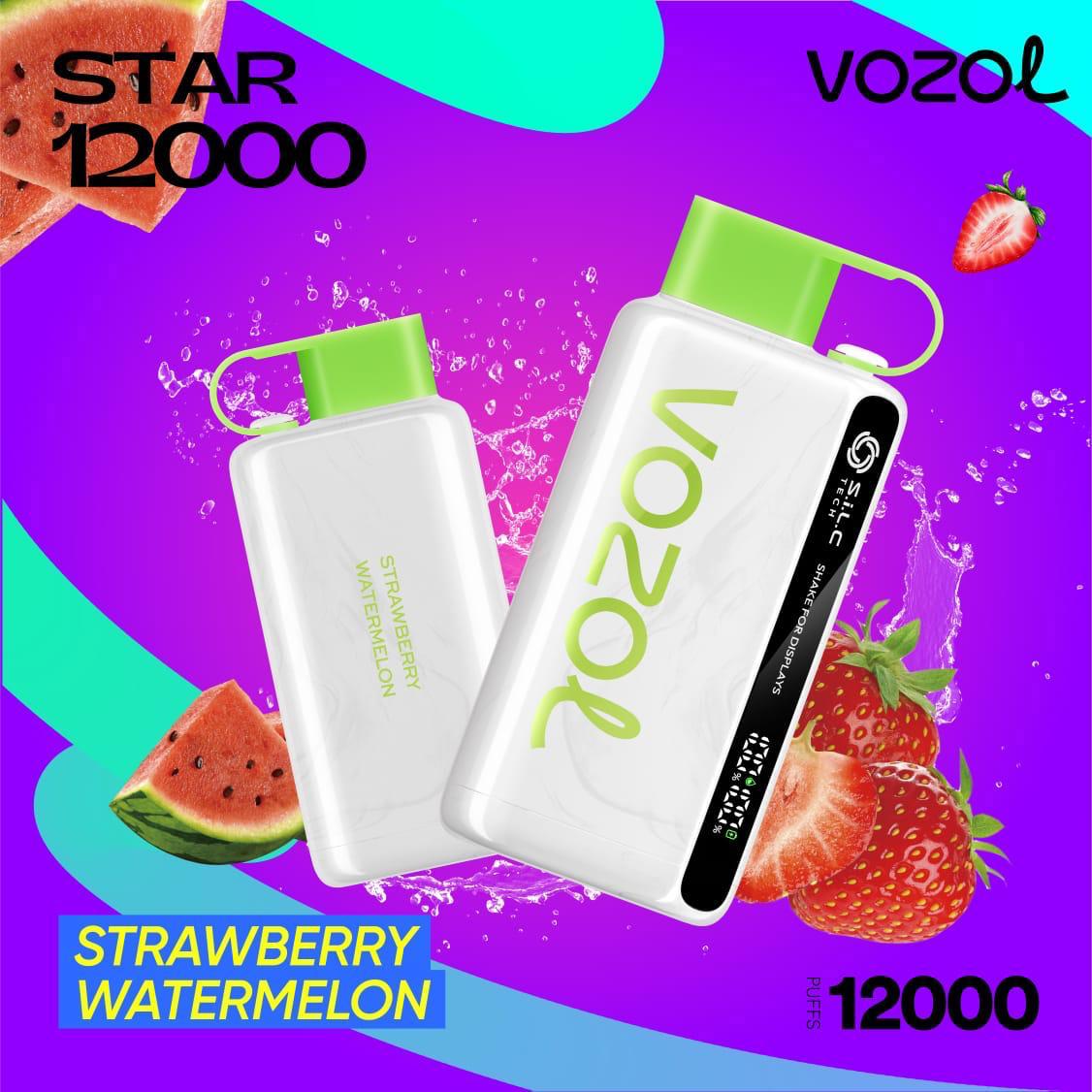 Best Buy Vozol Star 12000 Puffs Disposable Vape – Premium Vape in Dubai, UAE