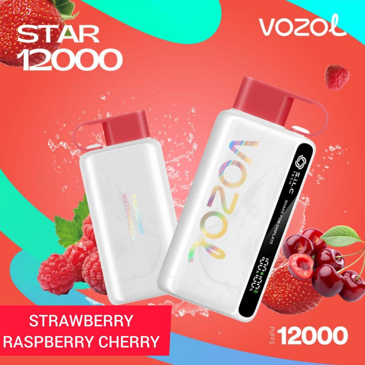 Best Buy Vozol Star 12000 Puffs Disposable Vape – Premium Vape in Dubai, UAE