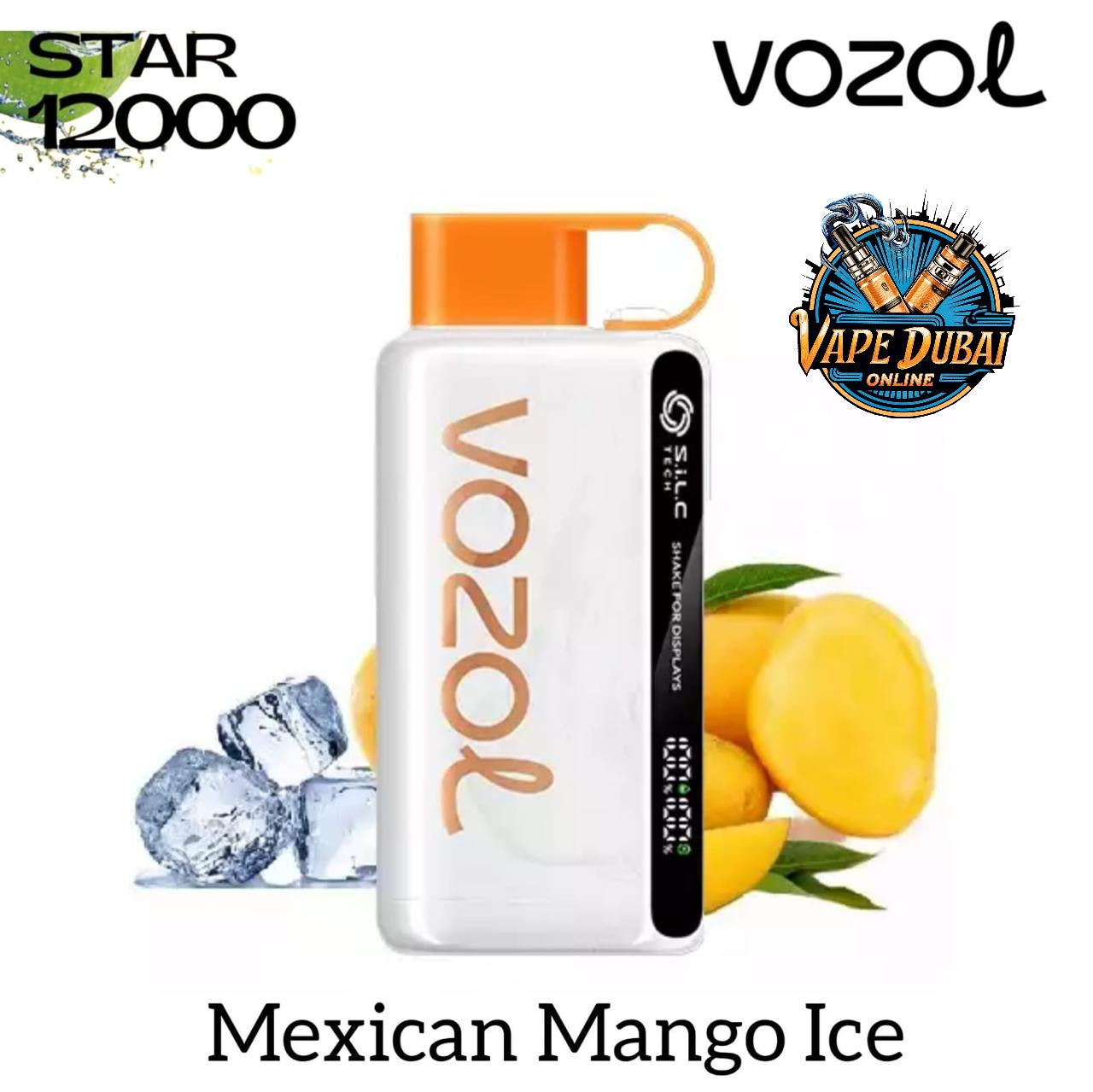 VOZOL STAR 12000 Puffs Vape | Fast Charging & Flavourful Hits