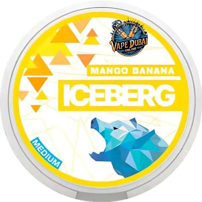 Buy Iceberg Nicotine Pouches – Tobacco-Free Mint in Dubai, UAE