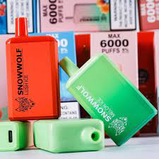 Snowwolf Max 6000 Puffs 5% Disposable Vape – Rechargeable in Dubai