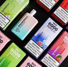 Snowwolf Max 6000 Puffs 5% Disposable Vape – Rechargeable in Dubai