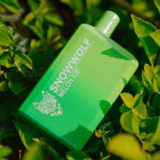 Snowwolf Max 6000 Puffs 5% Disposable Vape – Rechargeable in Dubai