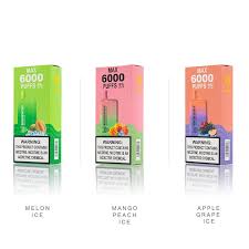 Snowwolf Max 6000 Puffs 5% Disposable Vape – Rechargeable in Dubai