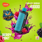VOZOL Gear Hookah 40K Puffs Disposable Vape | Dubai UAE