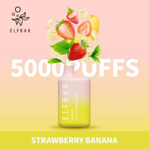 Elf Bar BC5000 Disposable Vape 5000 Puffs 13ml – Rechargeable Dubai