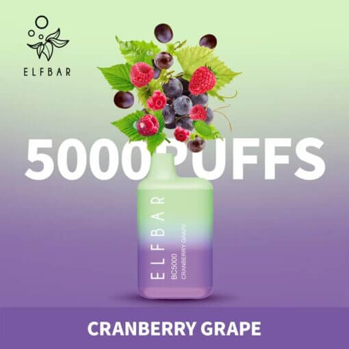 Elf Bar BC5000 Disposable Vape 5000 Puffs 13ml – Rechargeable Dubai