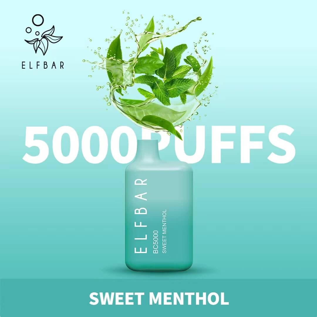 Elf Bar BC5000 Disposable Vape 5000 Puffs 13ml – Rechargeable Dubai