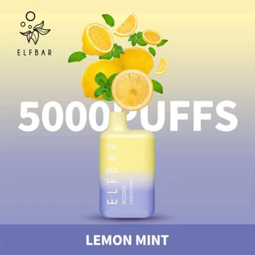 Elf Bar BC5000 Disposable Vape 5000 Puffs 13ml – Rechargeable Dubai