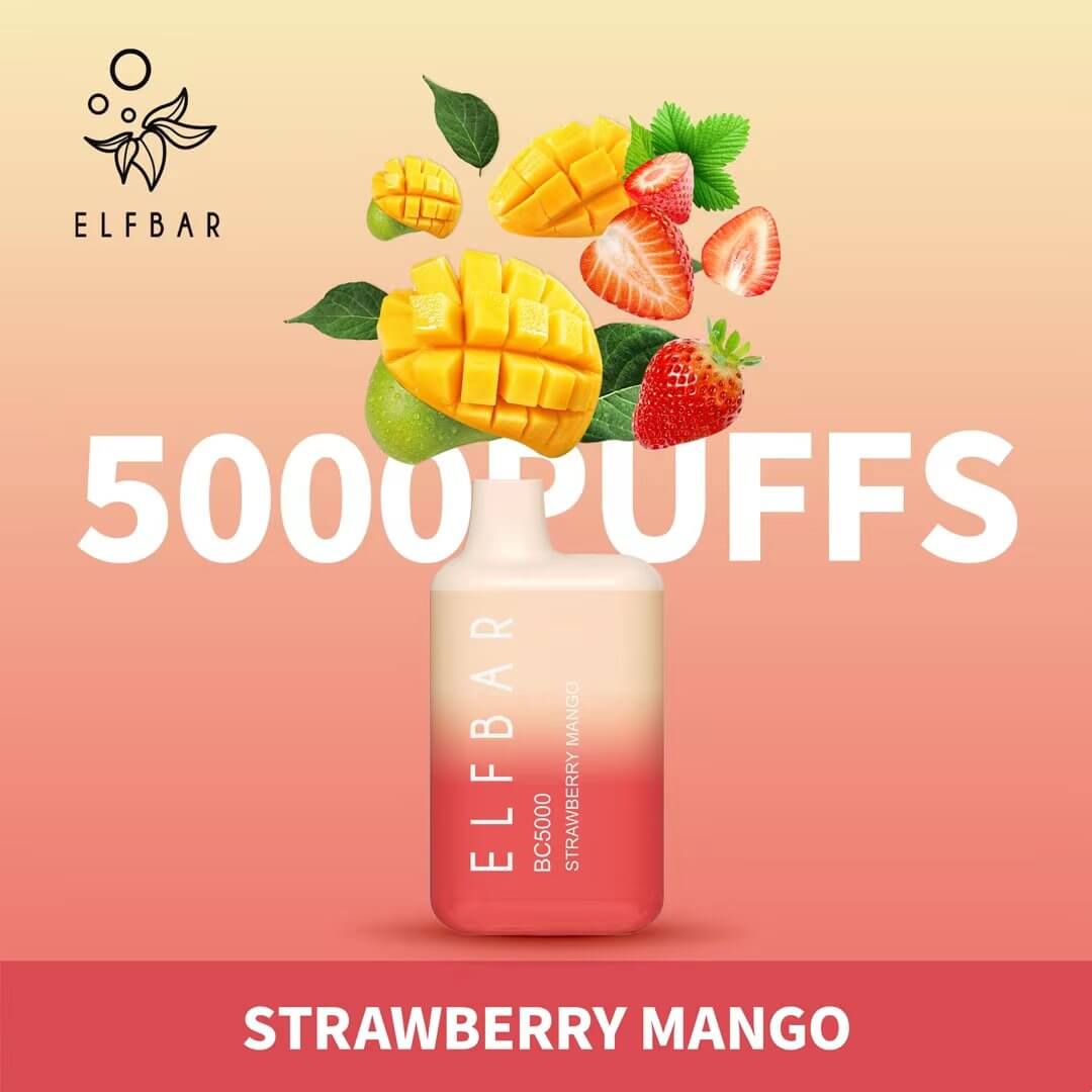 Elf Bar BC5000 Disposable Vape 5000 Puffs 13ml – Rechargeable Dubai