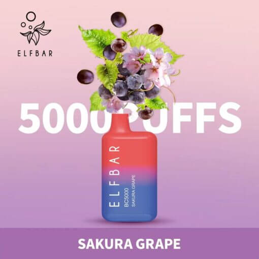 Elf Bar BC5000 Disposable Vape 5000 Puffs 13ml – Rechargeable Dubai