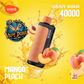 VOZOL Gear Hookah 40K Puffs Disposable Vape | Dubai UAE