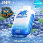 JNR Lion King 50K Puffs Disposable Vape | Buy in Dubai UAE