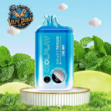 Coolplay Smart 26000 Puffs Disposable Vape – Buy in Dubai Online