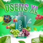 BECO Osens XL 10000 Puff Vape - Rechargeable Disposable in Dubai