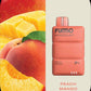 FUMMO Magnum 8000 Puffs Disposable Vape in Dubai UAE – 20 Flavors