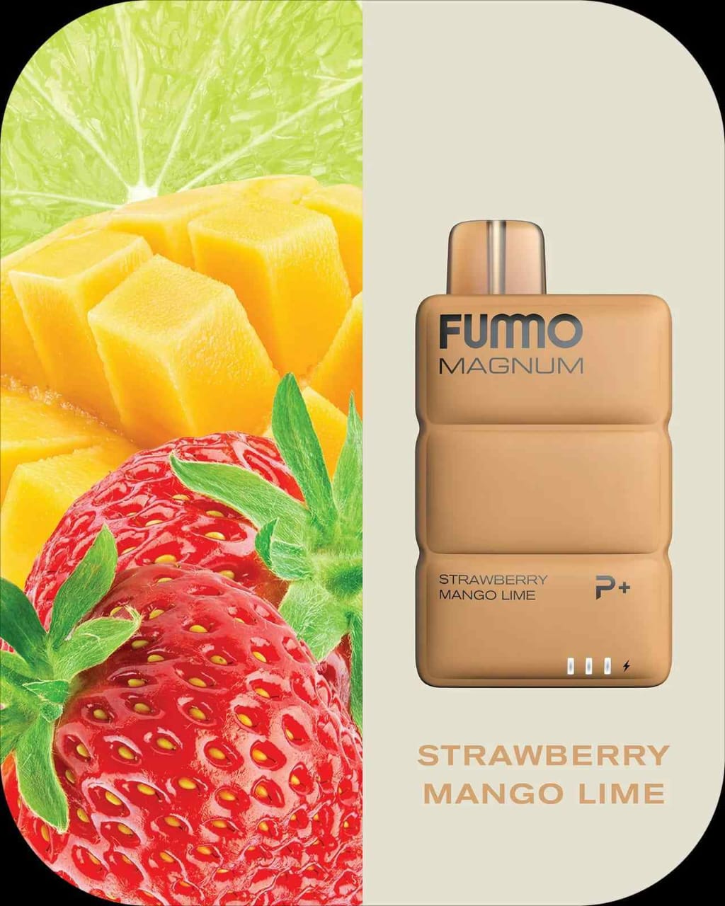 FUMMO Magnum 8000 Puffs Disposable Vape in Dubai UAE – 20 Flavors