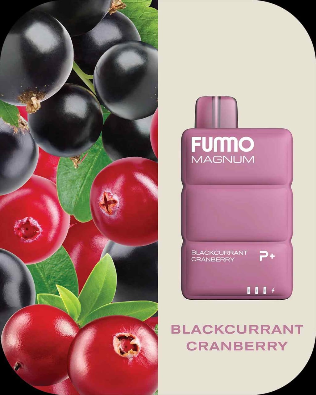 FUMMO Magnum 8000 Puffs Disposable Vape in Dubai UAE – 20 Flavors