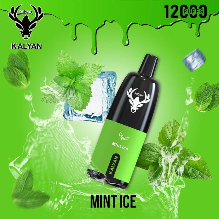 Kalyan 12000 Puffs Disposable Vape – 5% Nicotine | Vape Dubai UAE