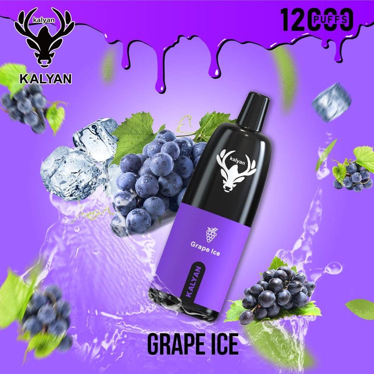 Kalyan 12000 Puffs Disposable Vape – 5% Nicotine | Vape Dubai UAE