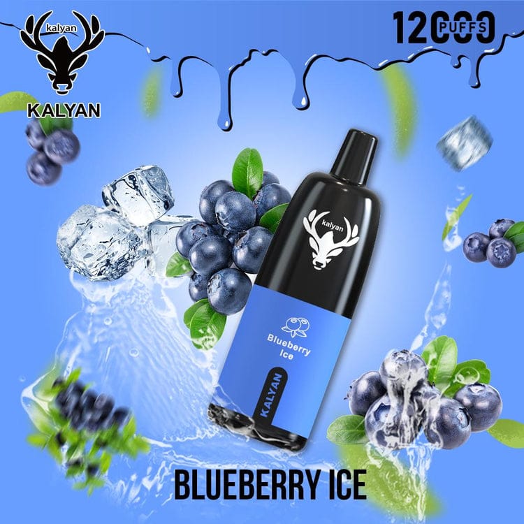 Kalyan 12000 Puffs Disposable Vape – 5% Nicotine | Vape Dubai UAE