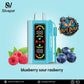 Silvaper 20000 Puffs Disposable Vape – DTL Pod with Type-C | Dubai