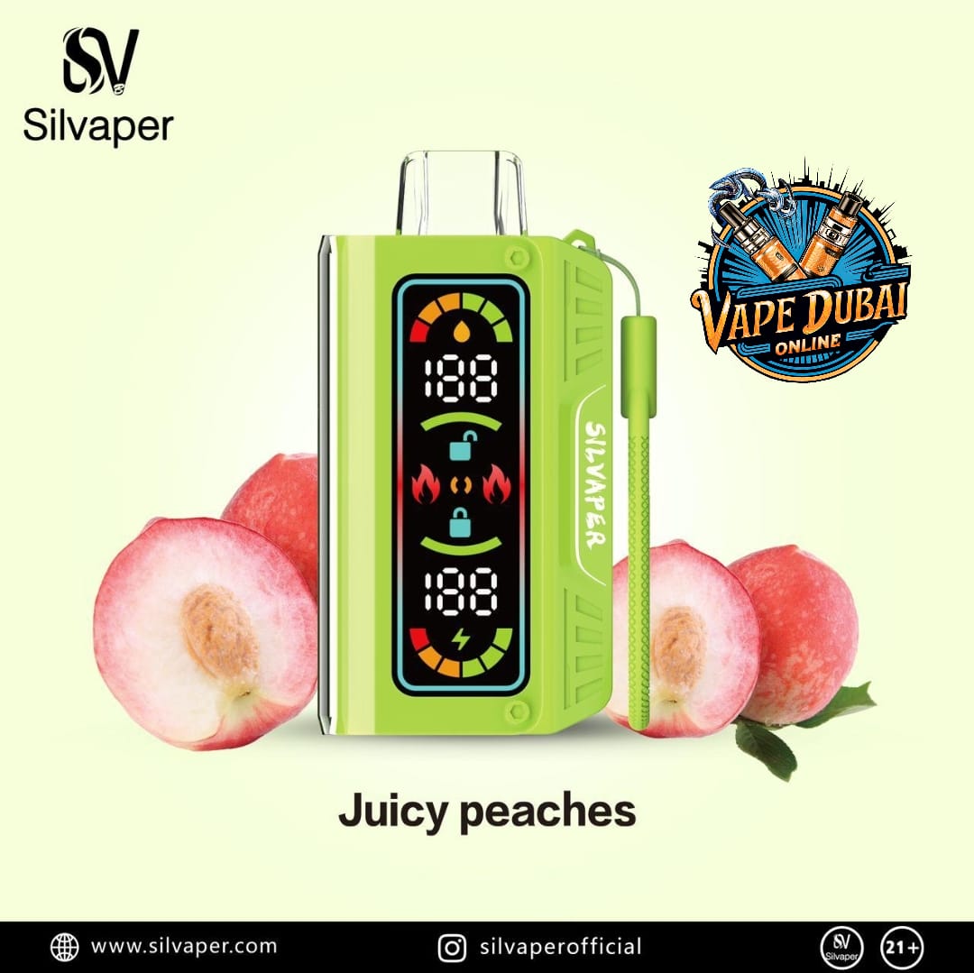 Silvaper 20000 Puffs Disposable Vape – DTL Pod with Type-C | Dubai