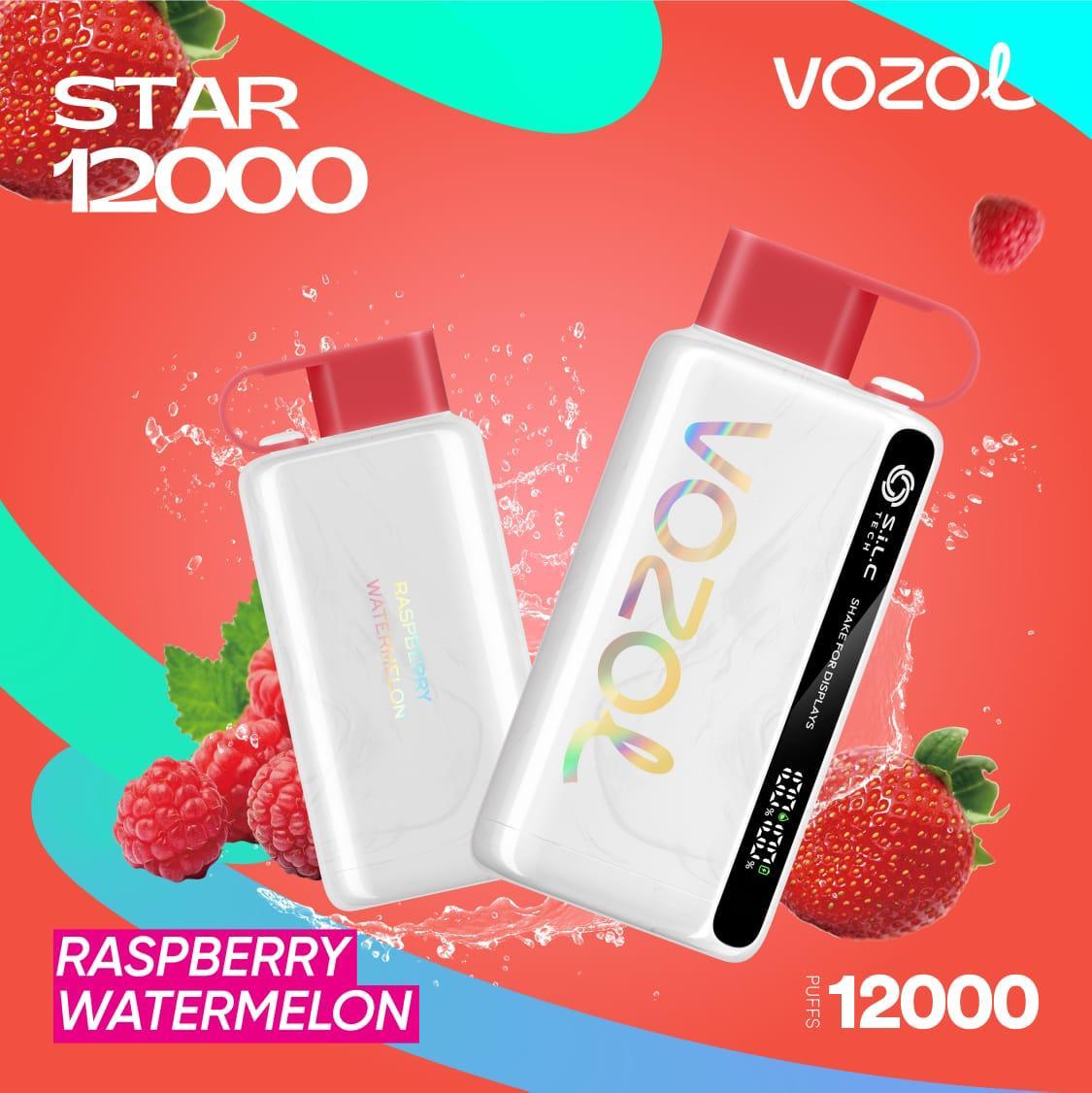 Best Buy Vozol Star 12000 Puffs Disposable Vape – Premium Vape in Dubai, UAE
