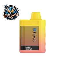 Bluecat 12000 Puffs Disposable Vape – Rechargeable 2% in Dubai UAE