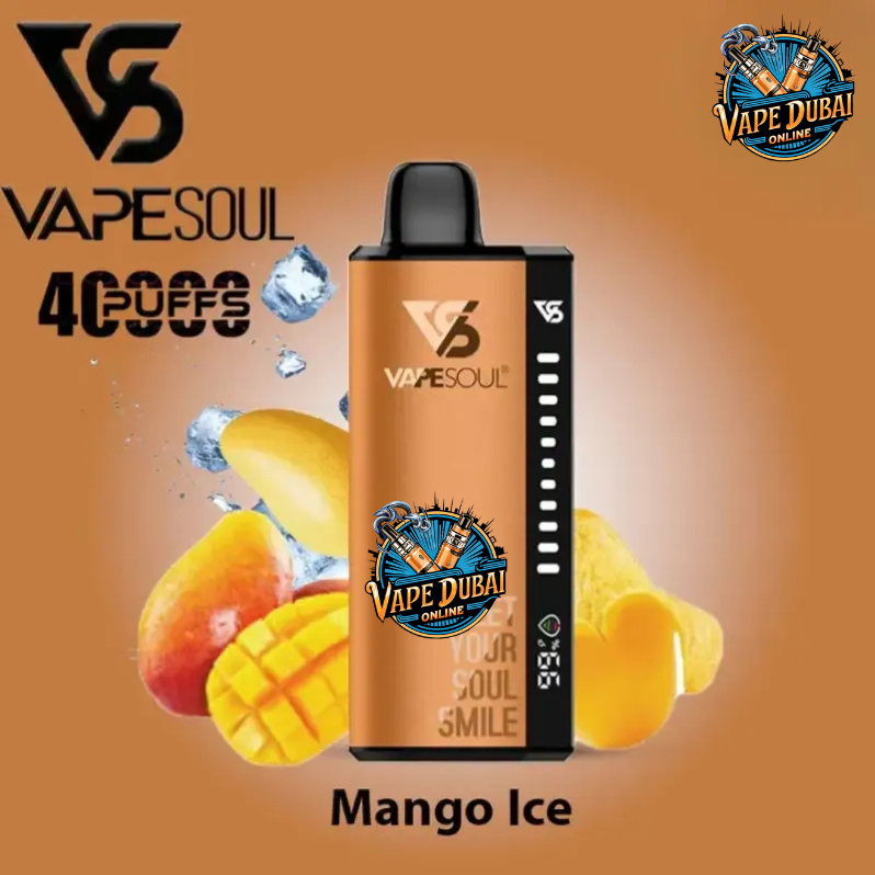 VAPESOUL 40K Puffs Disposable Vape (20mg)  Dubai UAE