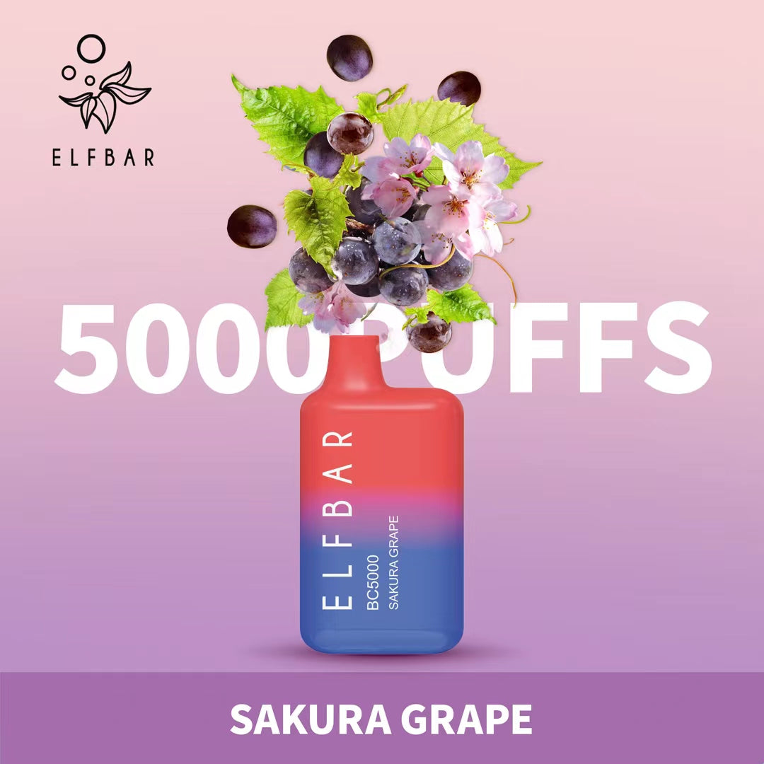 Elf Bar BC5000 Disposable Vape 5000 Puffs 650mAh – Dubai Best Price