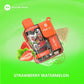 PYNE POD 8500 Puffs Disposable Vape – 5% Nic Salt | Dubai, UAE